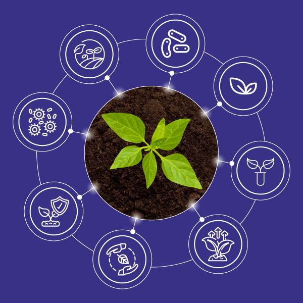 Our ReEarth Solutions