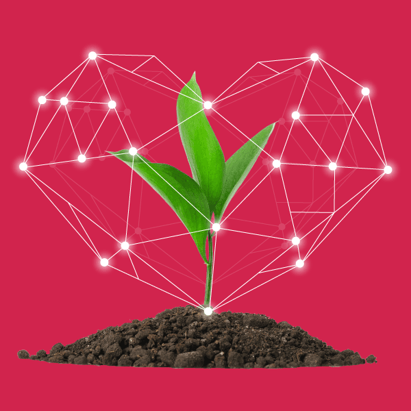 Our ReEarth Solutions