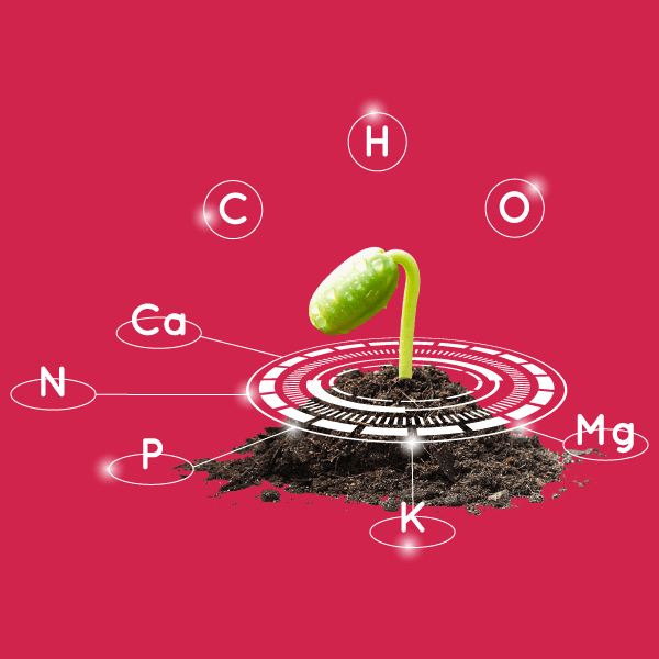 Our ReEarth Solutions