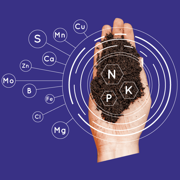 Our ReEarth Solutions