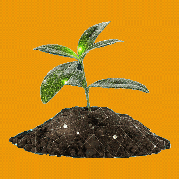 Our ReEarth Solutions