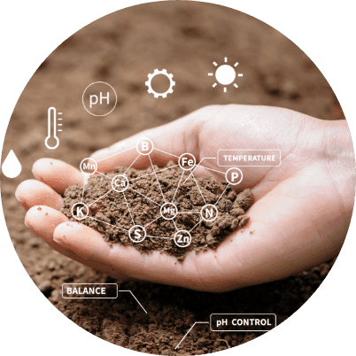 The ReEarth Movement image