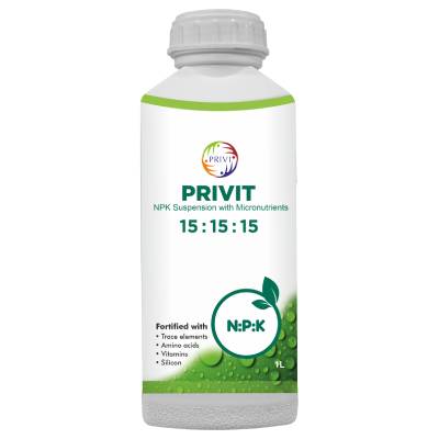 Privit Range Privit Range