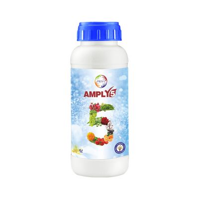 Amply 5 Amply 5